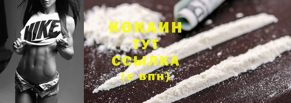 винт Касимов