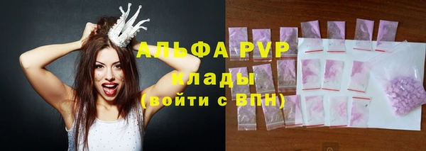 винт Касимов