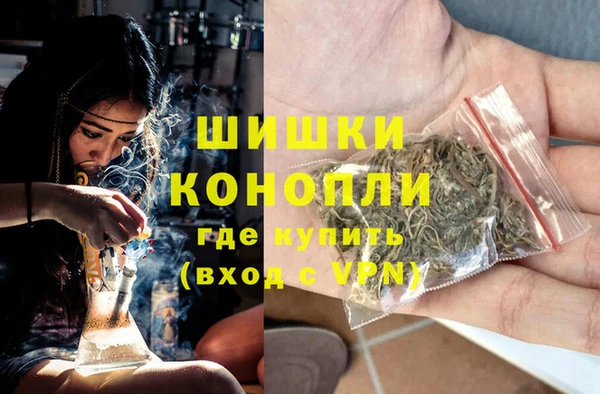 винт Касимов