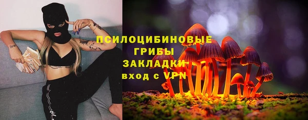 твердый Карталы